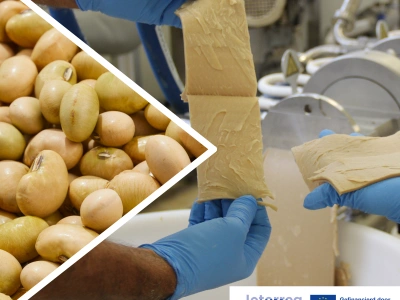 Vierkant met Interreg logo