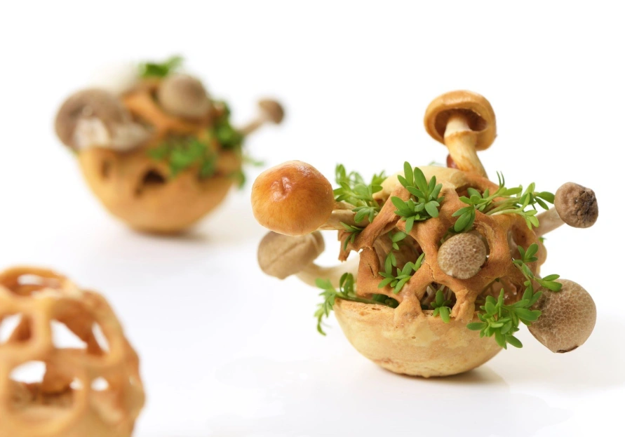 3 D Food Printing with T Ue and TNO 1