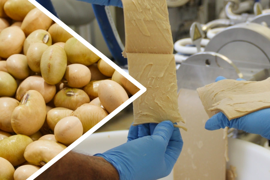 Vierkant met Interreg logo