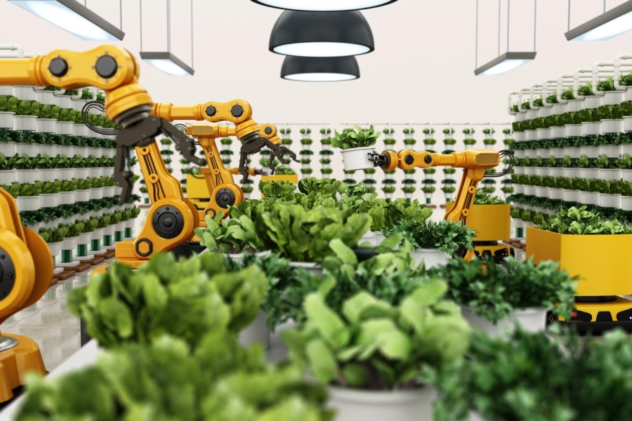 Getty Images 2033658704