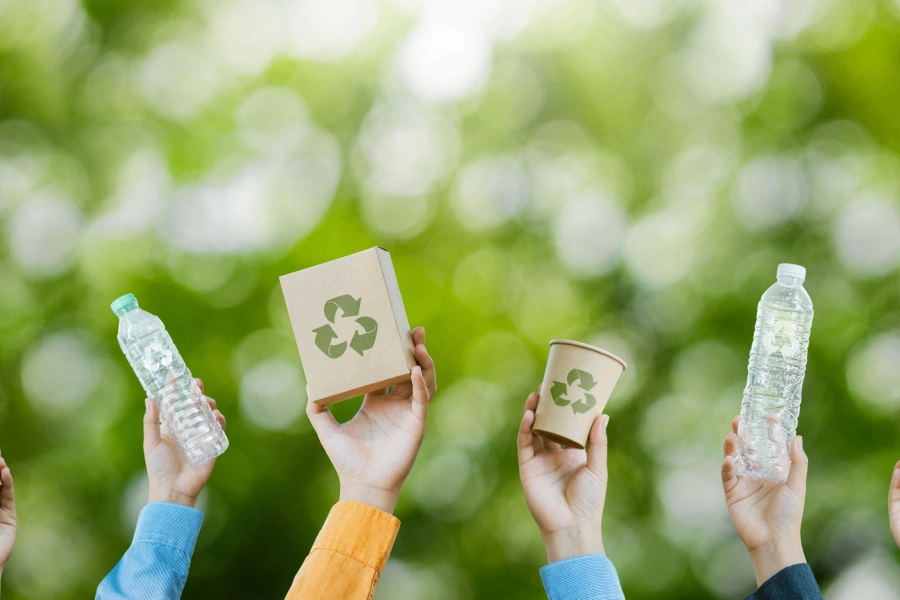 Shutterstock 2560517353 1