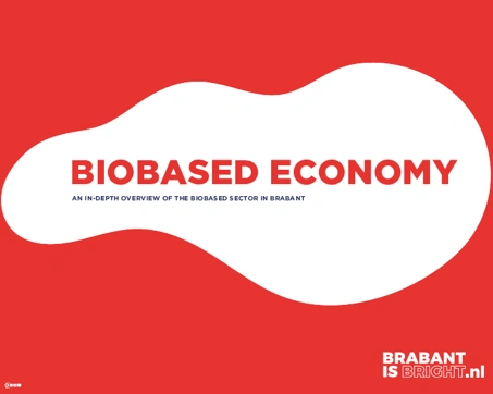 Def bom studie ev propositie biobased lr 1 preview
