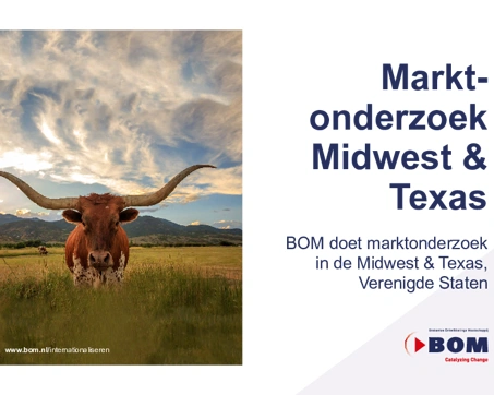 Marktonderzoek vs preview