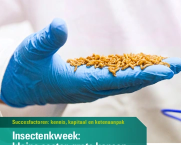 Marktstudie insectenkweek def preview