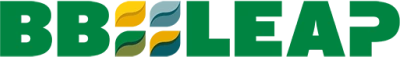 logo Bbleap